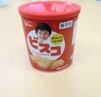ビスコ 20缶 （卵アレルギー用）