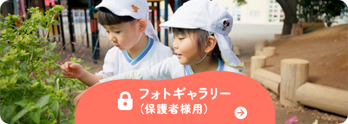 フォトギャラリー(保護者様用)